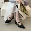 Black Pointed Thick Heel Single Shoes Women's 2025 Spring New French Temperament Late Evening Wind Retro Mary Jane Small Leather Shoes