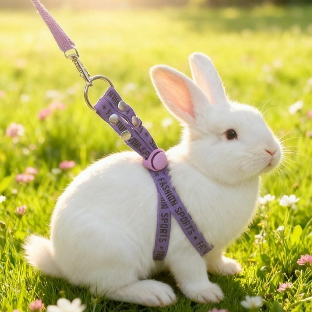Soft Guinea Pig Harness Adjustable Ferret Anti Loss Rope Ferret Harness Leash  Small Pets