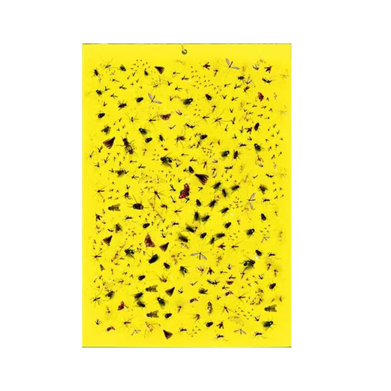 Huawoli Double-Sided Yellow Sticky Insect Traps