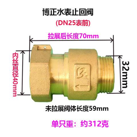 DN15 DN20 DN25 1/2" 3/4" 1" BSP Femmina Maschio Ottone Valvola di Ritegno Unidirezionale Non Ritorno Per Installazione Prima O Dopo il Contatore dell'Acqua