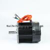 120 Differential Motor 19-Shaft 36V 1500W DC Brushless for Electric Tricycle/Scooter Use