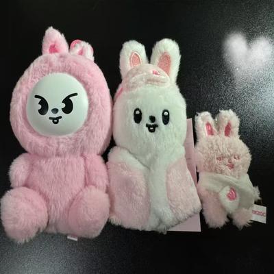 ***468Stile Stray Kids Skz Mini Schlüsselanhänger Anhänger Neu Skzoo Fm Feld Woche 5cm Plüsch Cartoon Niedlicher Anhänger Kindergeburtstagsspielzeug