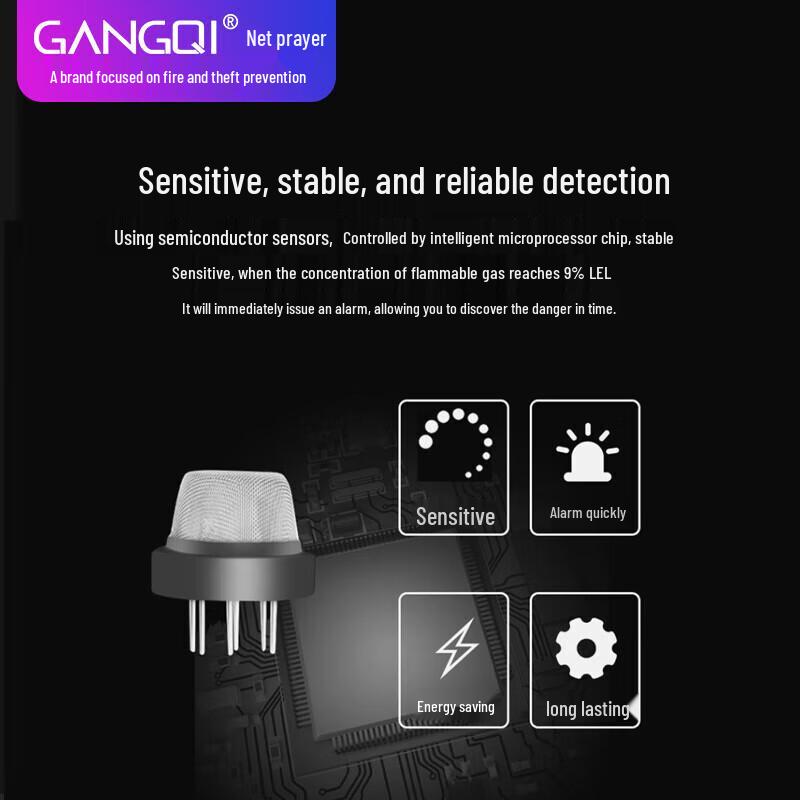 Gangqi Gas Leak Detector & Automatic Shut-off Valve Kit