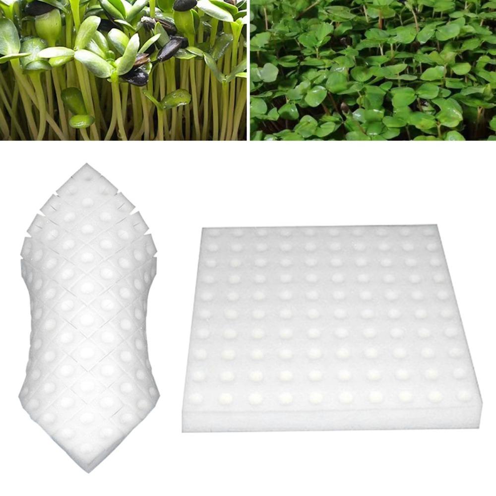 Vegetables Groundless Cultivation System Planting Sponge Seed Trays Grow Mesh Cup Hydroponic Sponge