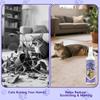 Furniture Use Liquid 30ml or 60ml or 100ml for Homes with Cats, Table Surfaces, Entryway Placement, and Daily Home Care