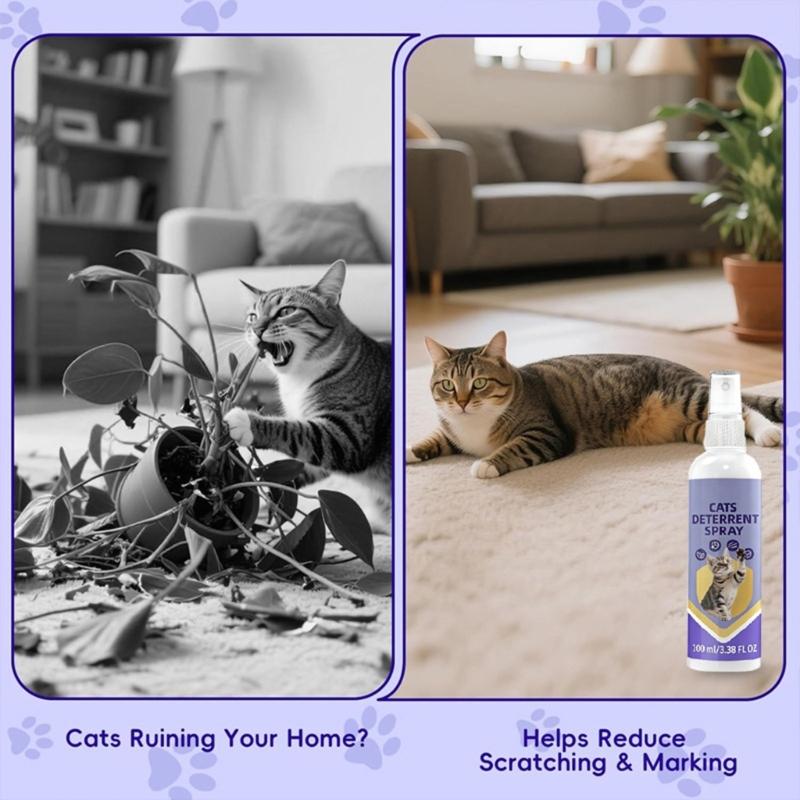 Furniture Use Liquid 30ml or 60ml or 100ml for Homes with Cats, Table Surfaces, Entryway Placement, and Daily Home Care