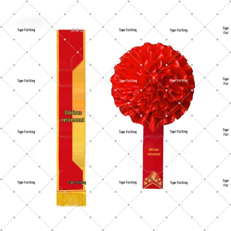 Military Retirement Commemorative Pin and Sash