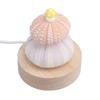 LED Night Lamp Warm White USB Plug In Natural Shell Body Cute Mushroom Decor Bedside Night Light