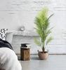 Artificial Areca Palm Hawaiian Plant In A Realistic Pot 120Cm Nice