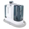 450W Spot Carpet Cleaner Portable Stain Remover Strong Suction Cleaning Machine for Blanket Curtain