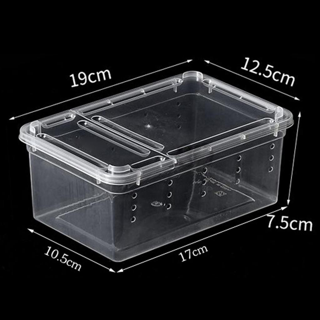 Clear Reptile Habitat Box for Hedgehogs and Silkworms