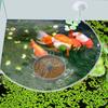 Aquarium Feeding Ring Fish Food Feeding Ring Round Shape Tank Accessories Breeding Tools For Guppy Betta Turtle Freshwater