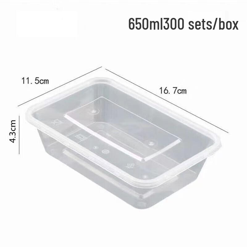 Tongyuan Disposable Rectangular Plastic Lunch Boxes with Lids