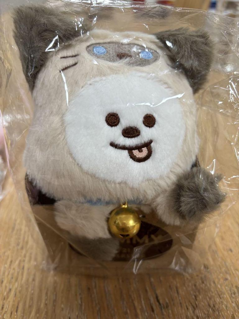 [USED] BT21 Plush Toy (CAT DAY) CHIMMY