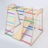 Indoor Wooden Climbing Frame & Slide Combo for Kids' Playroom
