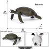 Cross-Border Children's Cognitive Amphibian & Reptile Tortoise Model Fish Tank Ornament Toy