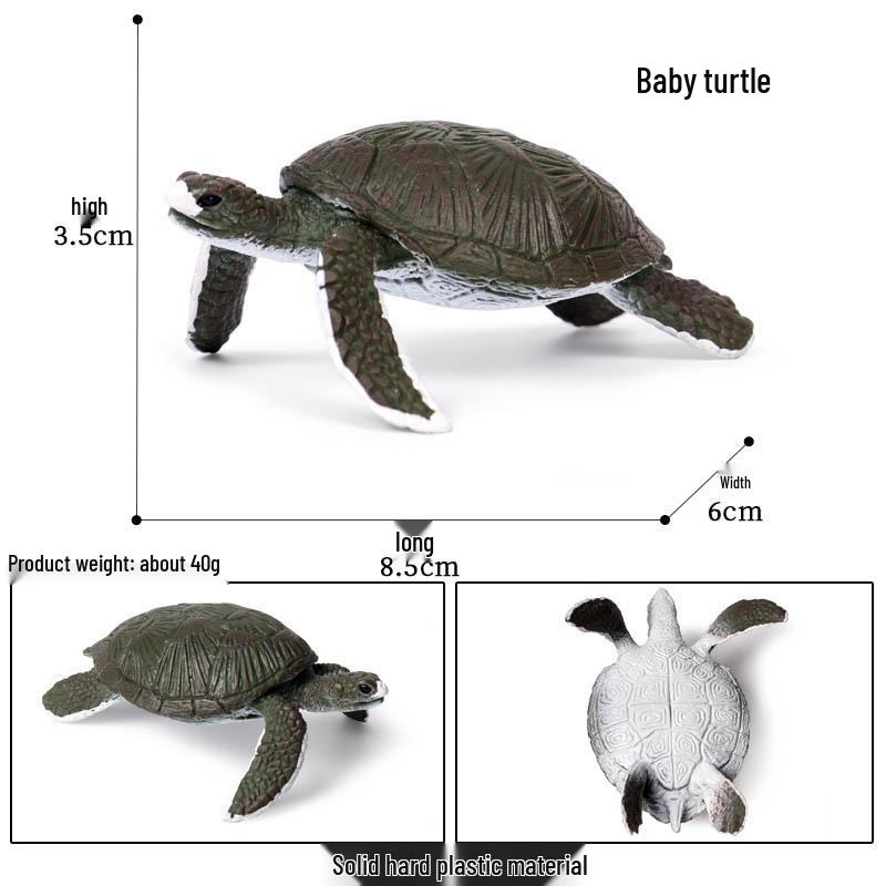 Cross-Border Children's Cognitive Amphibian & Reptile Tortoise Model Fish Tank Ornament Toy