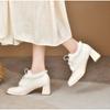 High heeled hairy shoes for women in winter wearing 2025 new French style thick heeled Mary Jane shoes with fleece single shoes