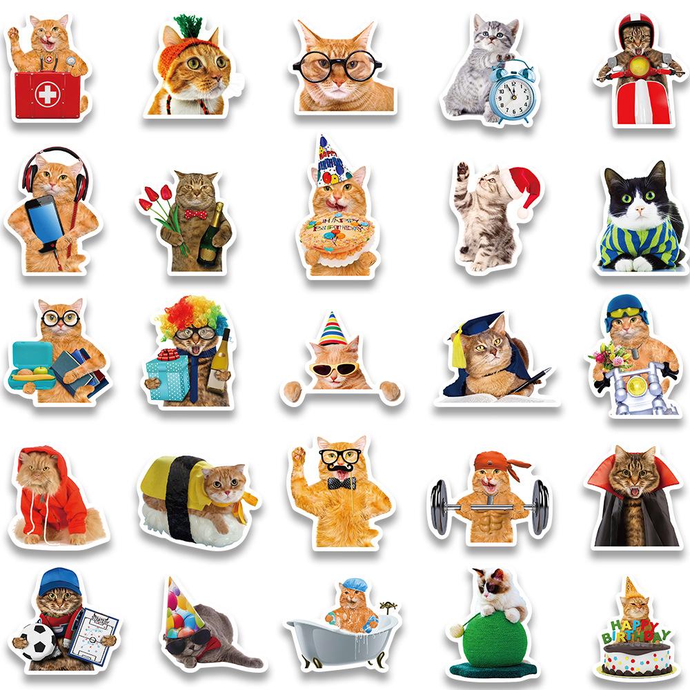 50PCS Cute Cat Stickers Vinyl Waterproof Funny Cats Decals for Water Bottle Laptop Skateboard Scrapbook Luggage Kids Toys