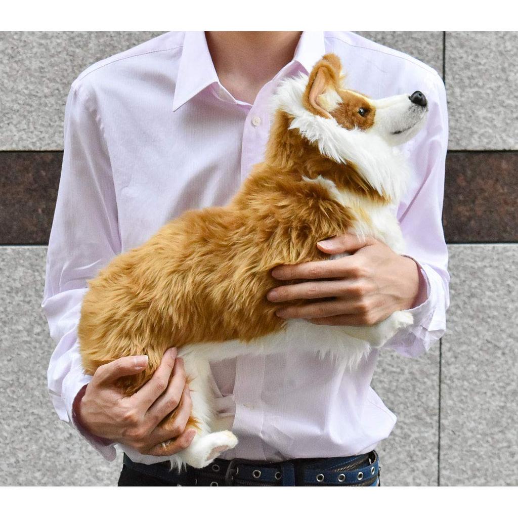 BH6686 HANSA Welsh Corgi 50cm