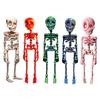 Mini Colorful Skeleton Fridge Magnets Funny Halloween Bone Decor Magnetic Toys Refrigerator Home Halloween Party Decoration