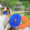 Squeaky Molar Ball: Durable, Bite-Resistant Toy for Medium & Large Dogs