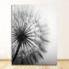 Wall Art Canvas Abstract Painting Picture Nordic Dandelion Flower S and Prints Living Room Scandinavian Black and White