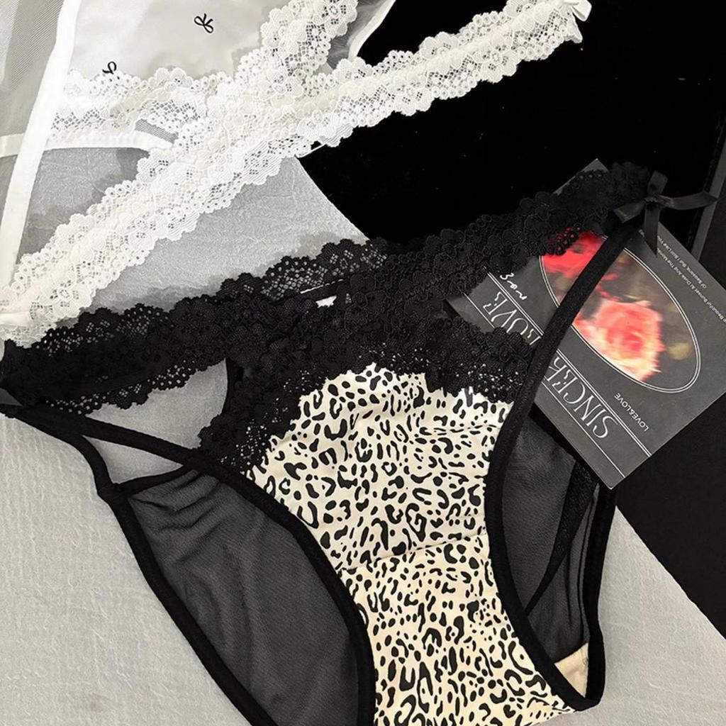 Satin Lace High Slit Mesh Panties: Pure Desire Women's Briefs 2025