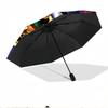 The Legend of Zelda Print Automatic Open Close Umbrella, Portable Foldable Umbrella, for Outdoor Commute Camping Trip, Ideal Birthday Gift