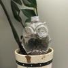 Self Watering Planter Automatic Plant Watering Automatic Flower Watering Device Owl Design Self-watering Planter Insert