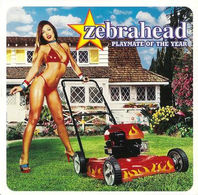CD ZEBRAHEAD Playmate des Jahres CK63817 Columbia 2000 US Rock Gebraucht