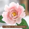Handcrafted Ceramic Flowers, Preserved & Artificial Bouquets, Home Décor, Display Items, Travel Souvenirs, and Cultural Gifts.