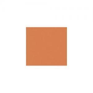 Derwent Coloursoft Pencil - Ginger C550