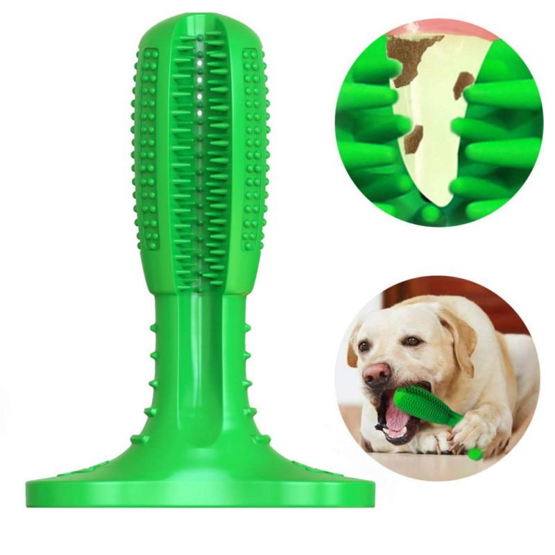 dog toothbrush chew
