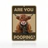Funny Cow Pooping Metal Poster for Toilet Wall Art
