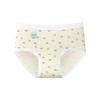Girl Spring Print 10A Antibacterial Extended Crotch Stretch Non Mark Waist Triangle Briefs