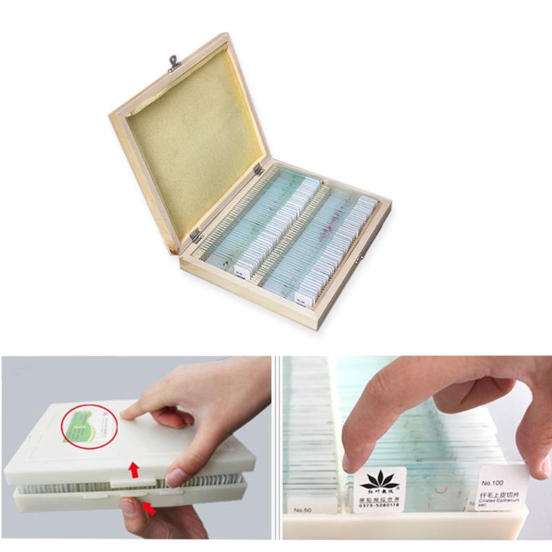 25/50/100 Pcs Prepared Premade Microscope Slides Set Basic Biological Science Education with Wooden for Case