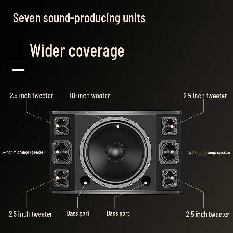 Soaiy CK-M20 Professional KTV & Home Theater Audio System