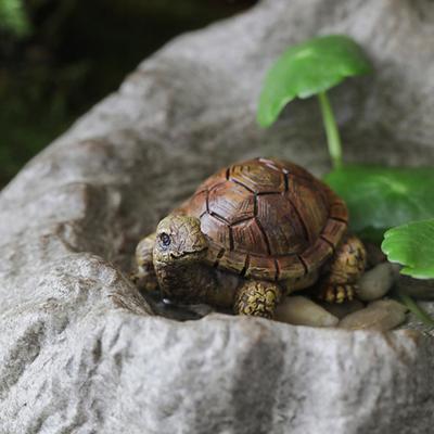 Micro Landscape Turtle Figurines Waterproof Resin Miniature Ornaments Realistic Turtle Statue for Fish Tanks Potted Plants Moss Gardens