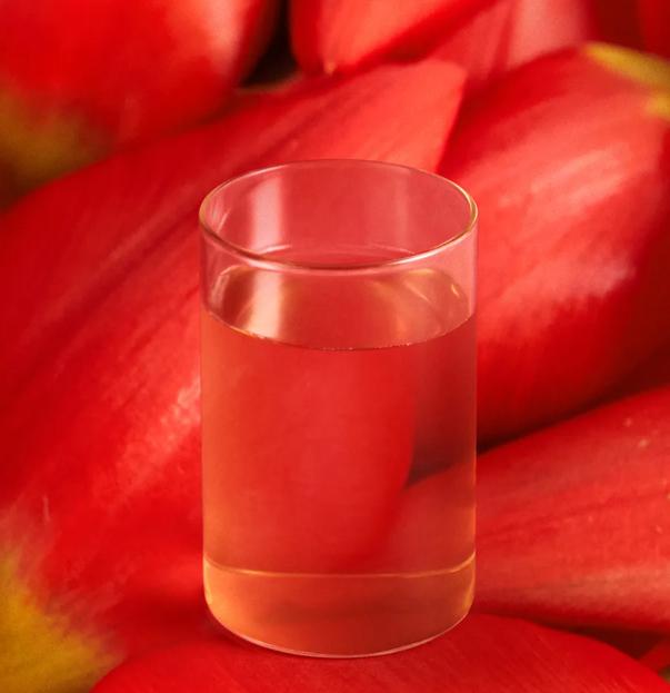 Osulloc Dongbaegi Pineun Gotjawal Tea – 35g, Premium Korean Loose Leaf Tea