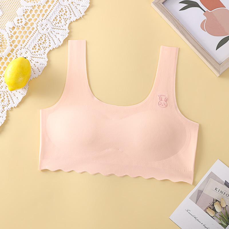 

Противоударный спортивный жилет и бюстгальтер для девочек - Удобный, дышащий, бесшовный дизайн для студенток L светло-розовый