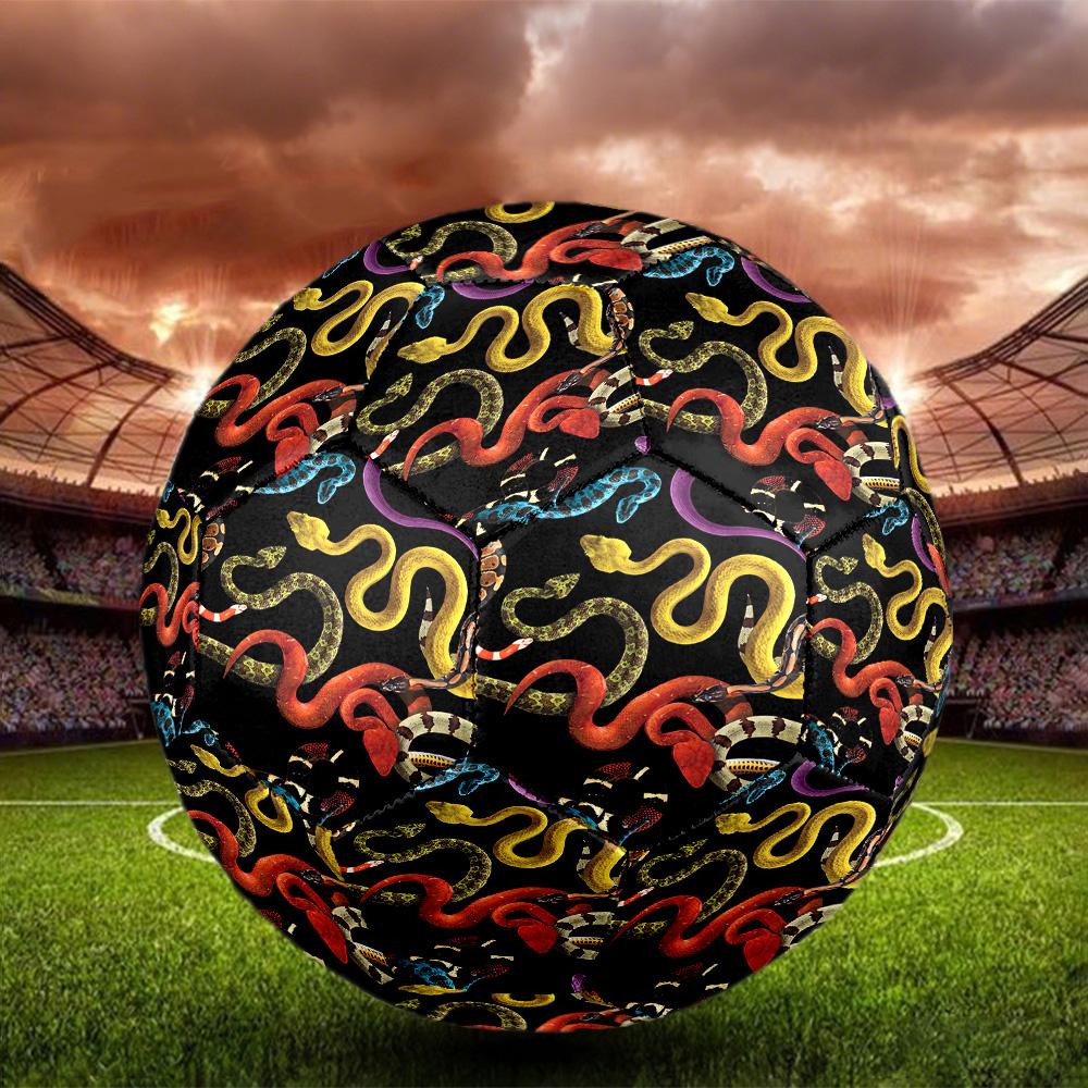 Snake and Skull Indoor Soccer Ball Size 5 Colorful All Ages Machine Stitched PVC Competition Ready Durable High-Bounce