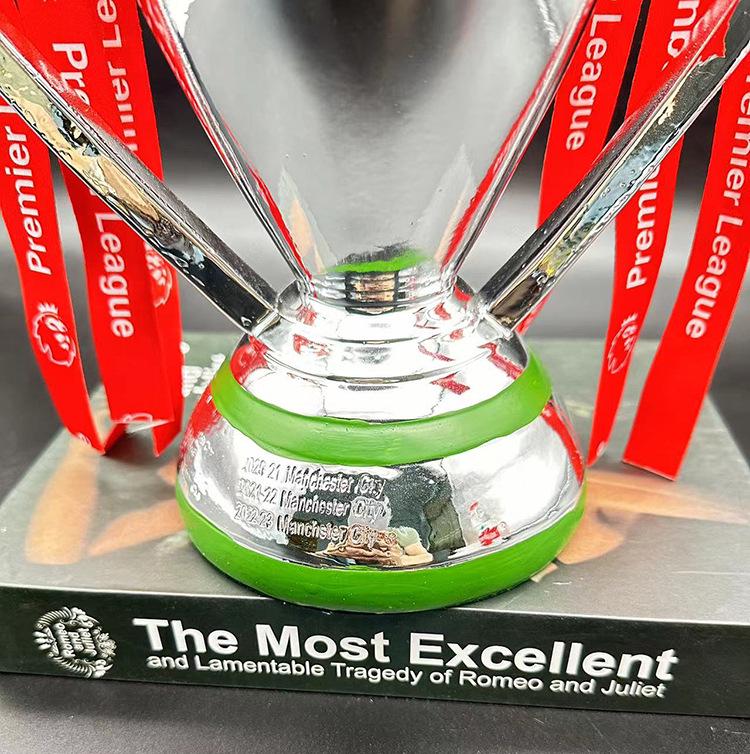 2025 Premier League pryskyřičný fotbalový pohár