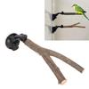 Bird Branch Perch Stand Training Interactive Prevent Slip Wooden   Perch with Suction Cups for Small Medium Bird