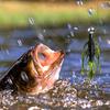 113pcs Fishing Lures Set Bass Trout Freshwater Saltwater Baits Christmas Gift Anglers