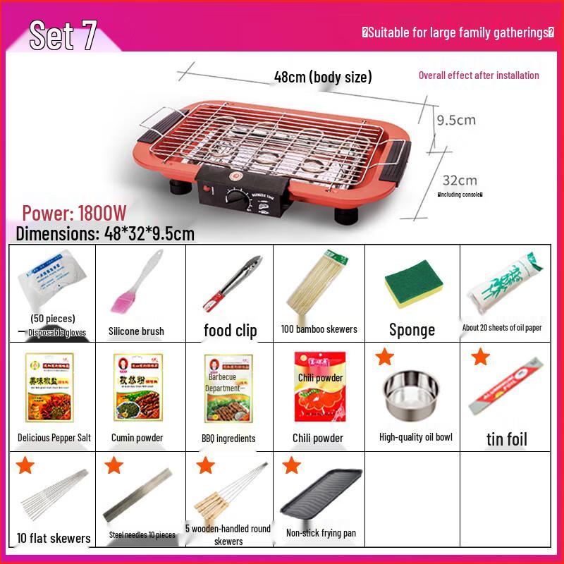 Electric BBQ Grill 1