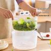 Manual Vegetable Salad Spinner