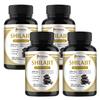 Ceragem Capsules, 1000mg Ceragem Extract, High Purity, Nutritional Supplement Capsules