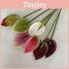 Plant Floral Anthurium Realistic Home Office Decoration Photography Props