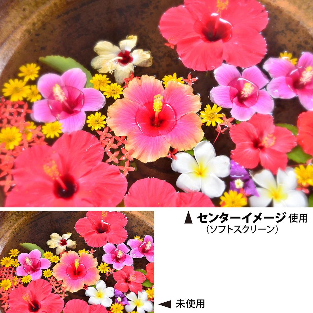 Kenko Lens Center for Soft 362334 Filter, Image, 62mm, Rendering,